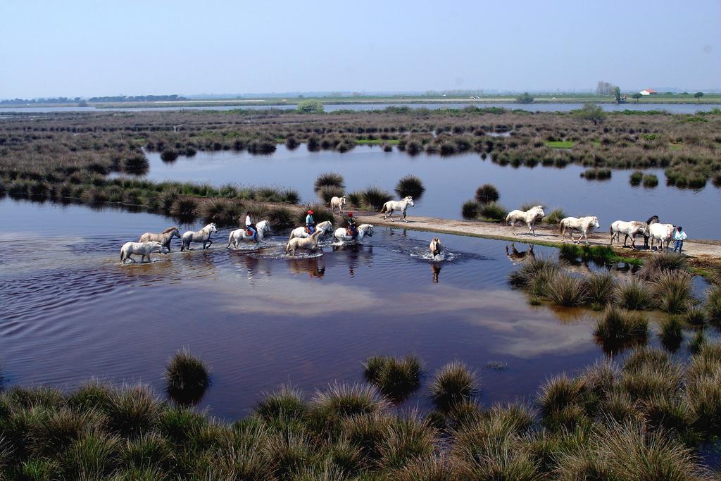 Club Village & Romea Resort